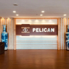 Отель Pelican Hotel, фото 10
