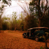 Отель Dubare Elephant Camp, фото 3