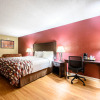 Отель Red Roof Inn Sylacauga, фото 4
