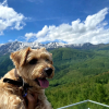 Отель Hakuba Powder Mountain, фото 32