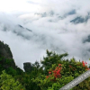Отель Wugong Mountain Baihefeng Zhangpengfang, фото 6