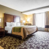 Отель Comfort Inn & Suites Walterboro I-95, фото 5