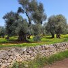 Отель Beautiful Garden Apartment in Cisternino, фото 15