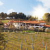 Отель Vinifera Vineyards Hotel, фото 29