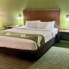 Отель Four Points Sheraton - Lexington, фото 7