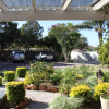 Отель Port Elizabeth Guest House, фото 12