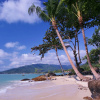 Отель Lamai Bayview Boutique Resort, фото 18