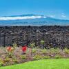 Отель Ainamalu at Waikoloa Beach Resort в Камуэле