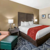 Отель Quality Inn & Suites, фото 27
