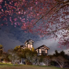 Отель ChangBai Mountain Farm House, фото 12