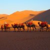 Отель Starway Hotel Dunhuang, фото 9