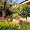 Отель Ai Quattro Ulivi B&B, фото 9