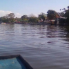 Отель Cabinas Tortuguero, фото 15