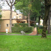 Отель Residence La Madonnina, фото 7
