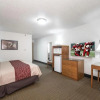 Отель Bearcat Inn and Suites, фото 33
