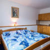 Отель Pension Pek, фото 6
