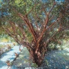 Отель Quinta Ensueño, фото 23