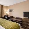 Отель Comfort Inn & Suites Red Deer, фото 3