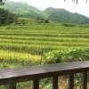 Отель Ta Van Heaven Homestay, фото 14