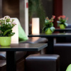 Отель CE Plaza Hotel, фото 30