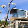 Отель Miyongju·Sunset View Resort Homestay, фото 12