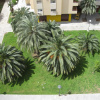 Отель Apartamentos Plaza Picasso, фото 13