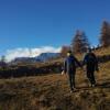 Отель Rifugio Alpino L'Ermitage, фото 16