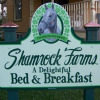 Отель Shamrock Farms Bed & Breakfast, фото 11