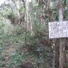 Отель Quintana Roo National Park Campground & Hiking, фото 33