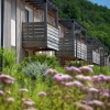 Отель Nice apartment at a shared swimming pool in the Dordogne, фото 15