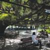 Отель Lisbon Lovers, фото 7