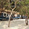 Отель SARASEA Resort, фото 1