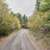 Отель Bear Ridge Cabin, фото 11