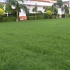 Отель Babu Guest house, фото 12