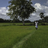 Отель Uga Ulagalla - Anuradhapura, фото 24