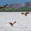 Отель Baan Rim Ao, фото 46