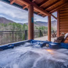 Отель Moose Hollow Lodge, фото 16