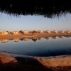 Отель Thar Oasis Resort & Camp, фото 9