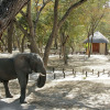 Отель Gwango Elephant Lodge, фото 6