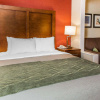 Отель Comfort Inn Boston, фото 29