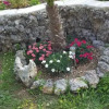 Отель Apartments Babic, фото 1