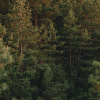 Отель Saltic Resort & Spa Grzybowo, фото 12
