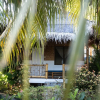 Отель Fish Unlimited Beach & Dive Resort, фото 32