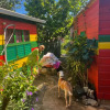 Отель The Judy House Cottages and Rooms, фото 12