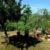 Отель Picchio Della Tinaia, фото 2