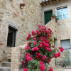 Отель Casella della Barca, фото 36