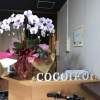 Отель Miyakojima guest house cocoikoi - Hostel, фото 6