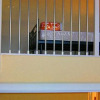 Отель Resort Il Casale Bolgherese, фото 11