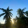 Отель Casa Praiana Moitas, фото 7