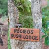 Отель Rooibos Bush Lodge, фото 24